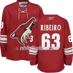 Reebok Arizona Coyotes Trikot Mike Ribeiro 63 Burgundy Rot Heim - Herren