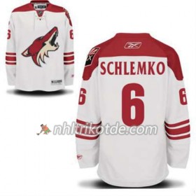 Reebok Arizona Coyotes Trikot David Schlemko 6 Weiß Auswärts - Herren