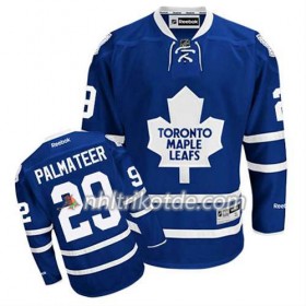 Reebok Toronto Maple Leafs Trikot Mike Palmateer #29 Heim Blau - Herren