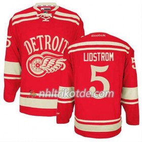 Reebok Detroit Red Wings Trikot Nicklas Lidstrom #5 2014 Winter Classic Rot - Herren