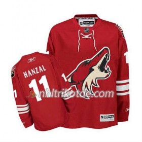Reebok Arizona Coyotes Trikot Martin Hanzal 11 Burgundy Rot Heim - Herren