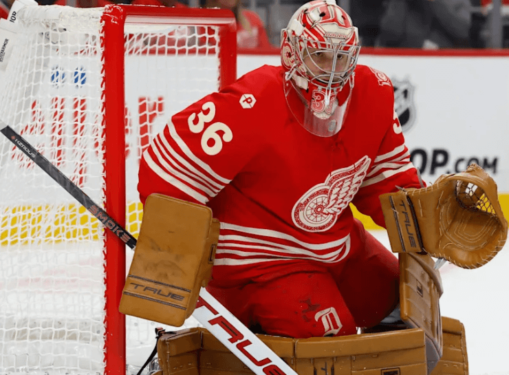 John Gibsons Weg zurück zu alter Stärke bei den Red Wings
